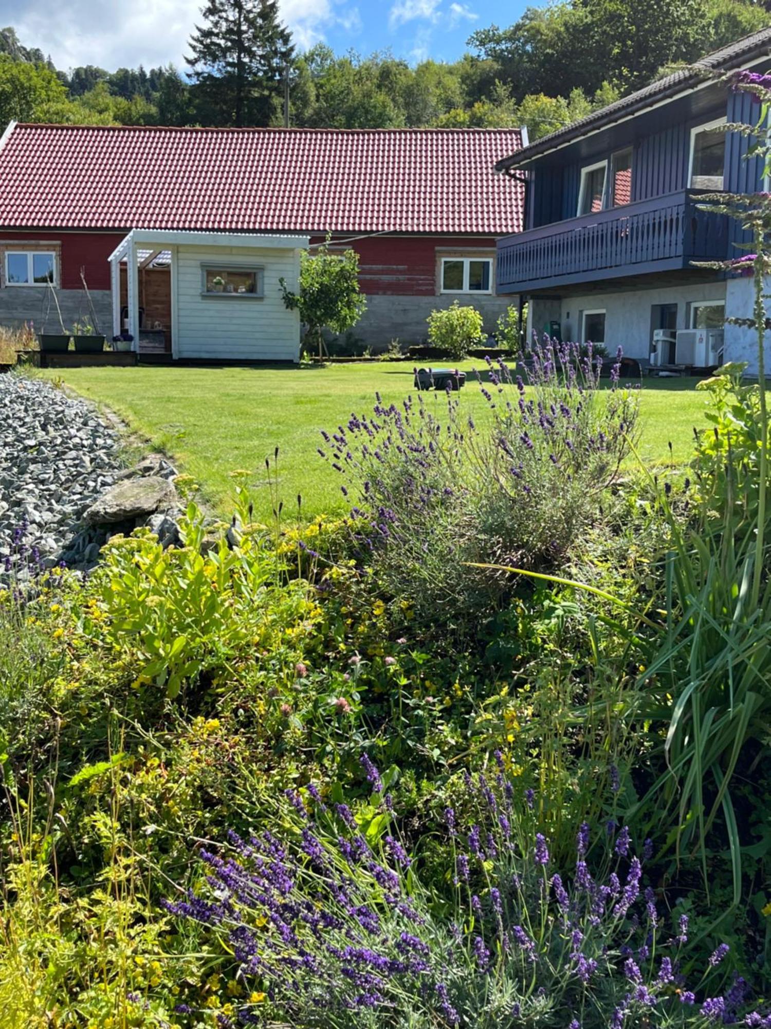 Ferienwohnung Kjolevik Jørpeland Exterior foto